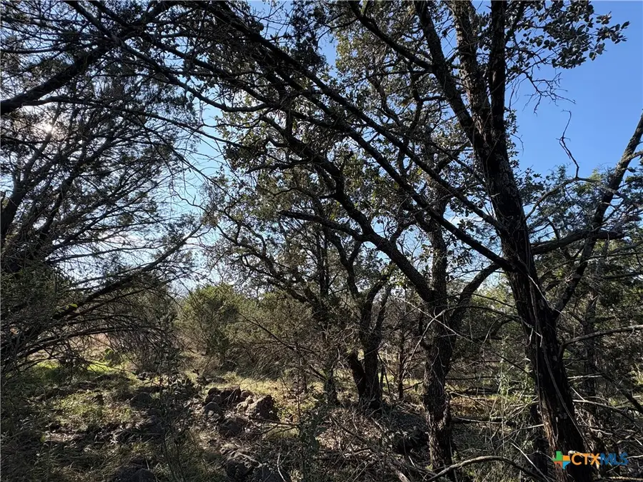 0 Lakeview Drive, Burnet, TX 78611 - Image #3