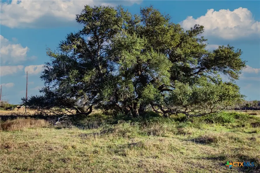 TBD Co Rd 443 & Co Rd 446, Ganado, TX 77962 - #2