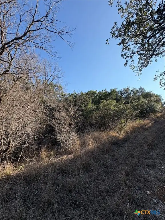 0 Deer Springs Drive, Burnet, TX 78611 - Image #2