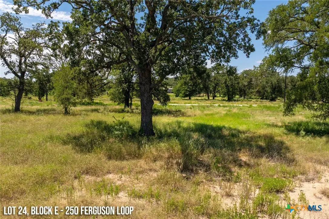 250 Ferguson Loop, Dale, TX 78616 - Image #1