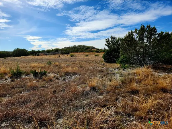 TBD Shin Oak Drive, Lampasas, TX 76550