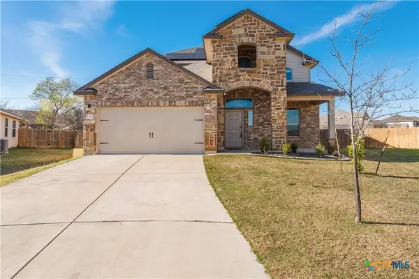 1129 Ibis Falls Loop, Jarrell, TX 76537