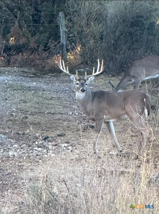 1218 Private Road 1377, Lampasas, TX 76550 - Image #1