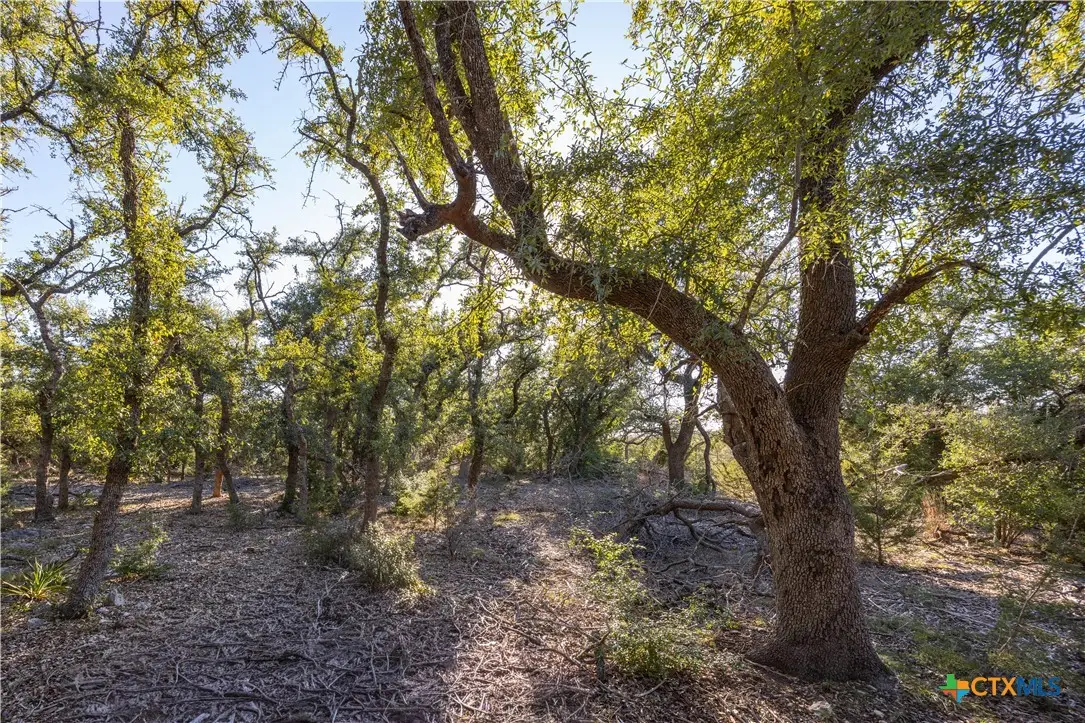 130 Panorama Drive, Wimberley, TX 78676 - Image #1