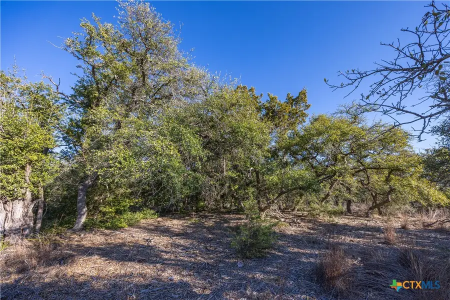 130 Panorama Drive, Wimberley, TX 78676 - Image #3