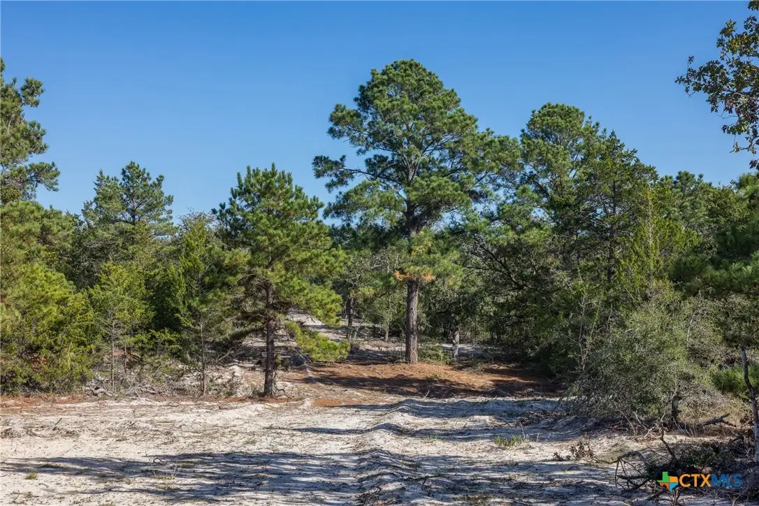 555 Altamira Lane, Dale, TX 78616 - #1