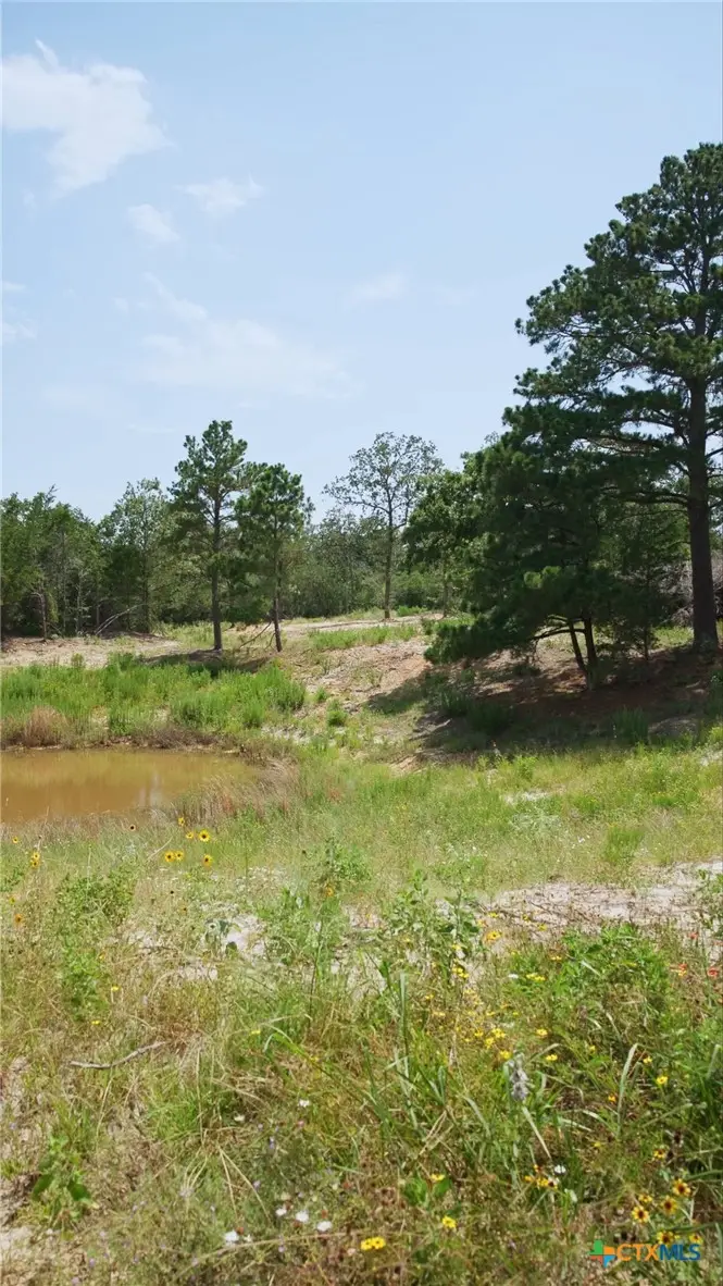 555 Altamira Lane, Dale, TX 78616 - #3