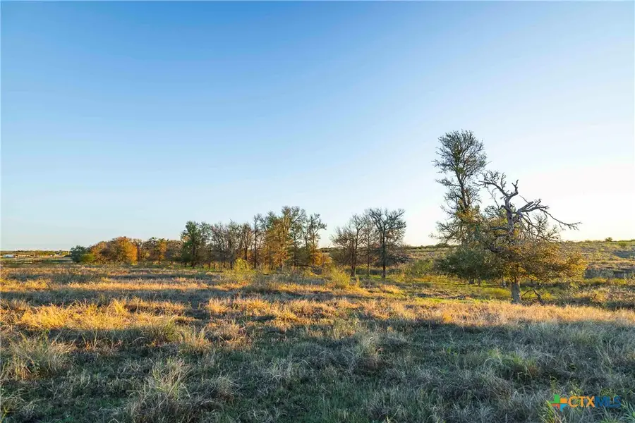 3191 County Road 463, Elgin, TX 78621 - #2