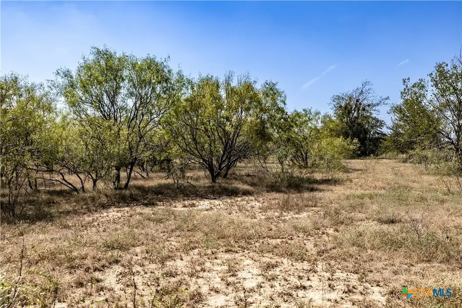 TBD Lot 4 Track Road, Dale, TX 78616 - #2
