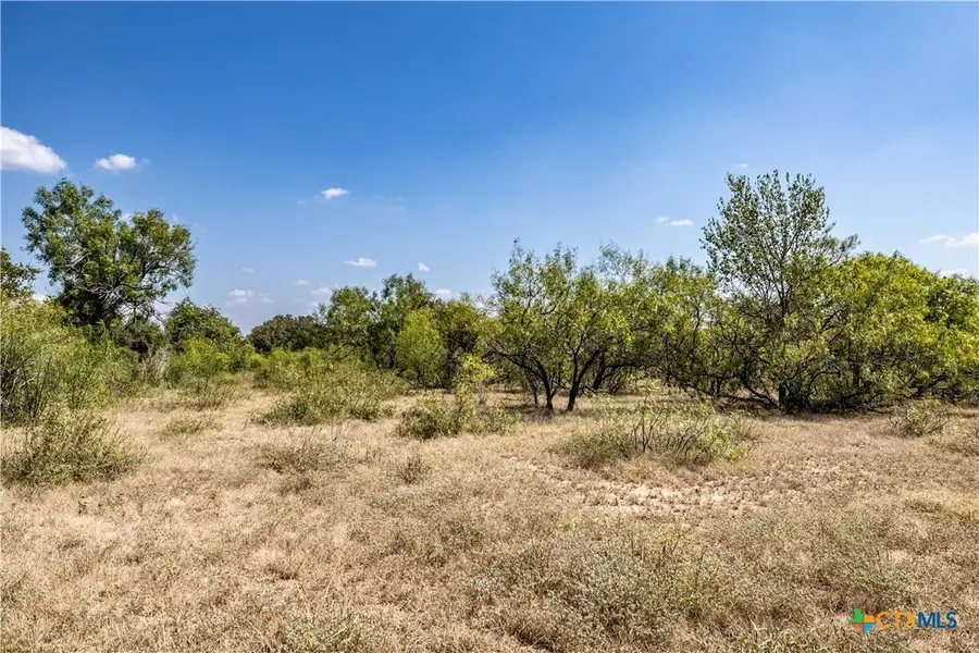 TBD Lot 4 Track Road, Dale, TX 78616 - #3
