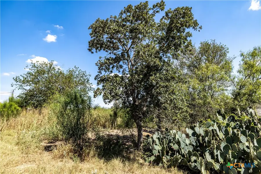 TBD Lot 2 Track Road, Dale, TX 78616 - #2