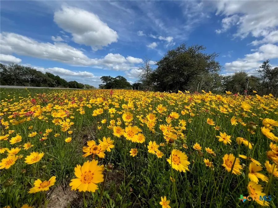 15395 E State Hwy 111, Yoakum, TX 77995 - #3