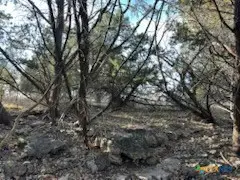 1218 E Creekview Drive, Salado, TX 76571 - Image #3