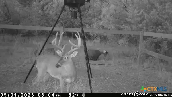 637 Cr 281, Harwood, TX 78632 - #3