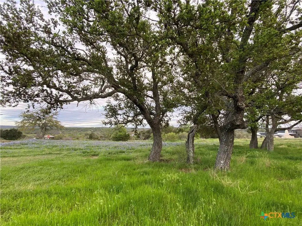 303 S Oak Lane, Burnet, TX 78611 - #1