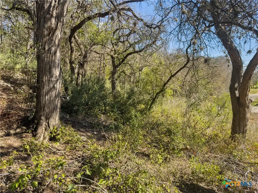 595 Dittlinger Street, New Braunfels, TX 78130 - #2