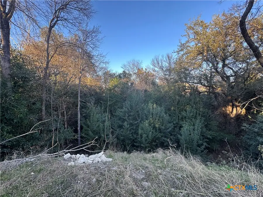 908 Carla Kay, Belton, TX 76513 - Image #3