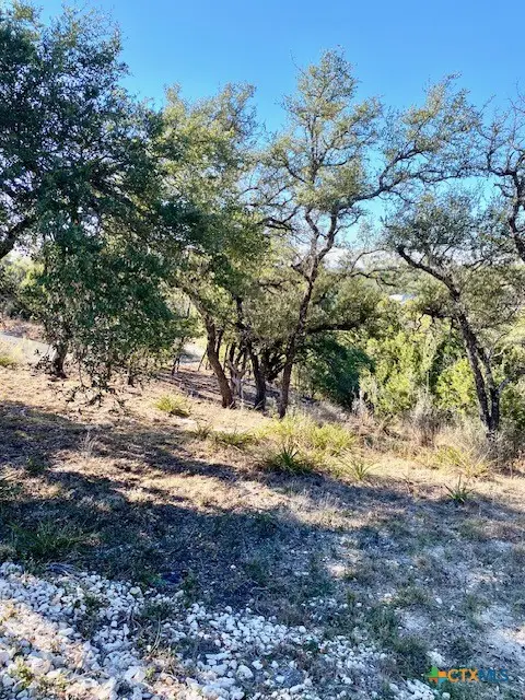 1178 Primrose Path, Canyon Lake, TX 78133 - Image #3
