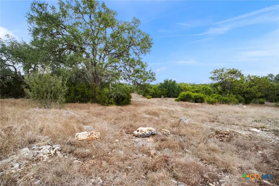 137 Red Tail Cove, Spring Branch, TX 78070 - Image #3
