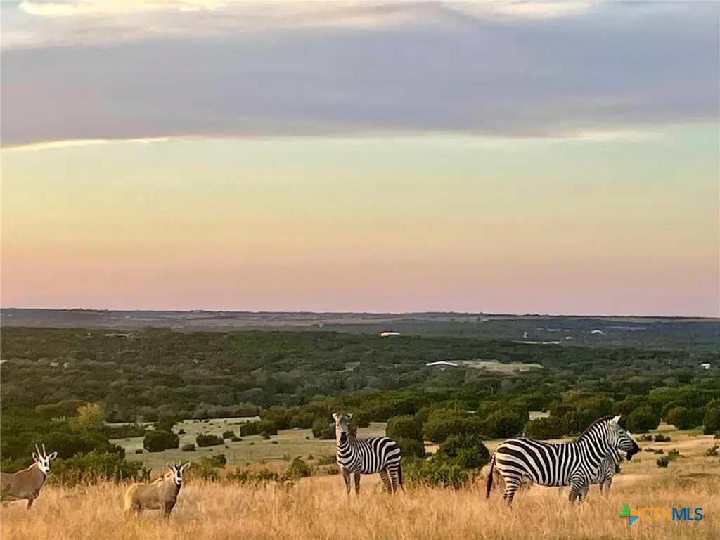 Tract 2 County Road 208, Lampasas, TX 76550 - #1