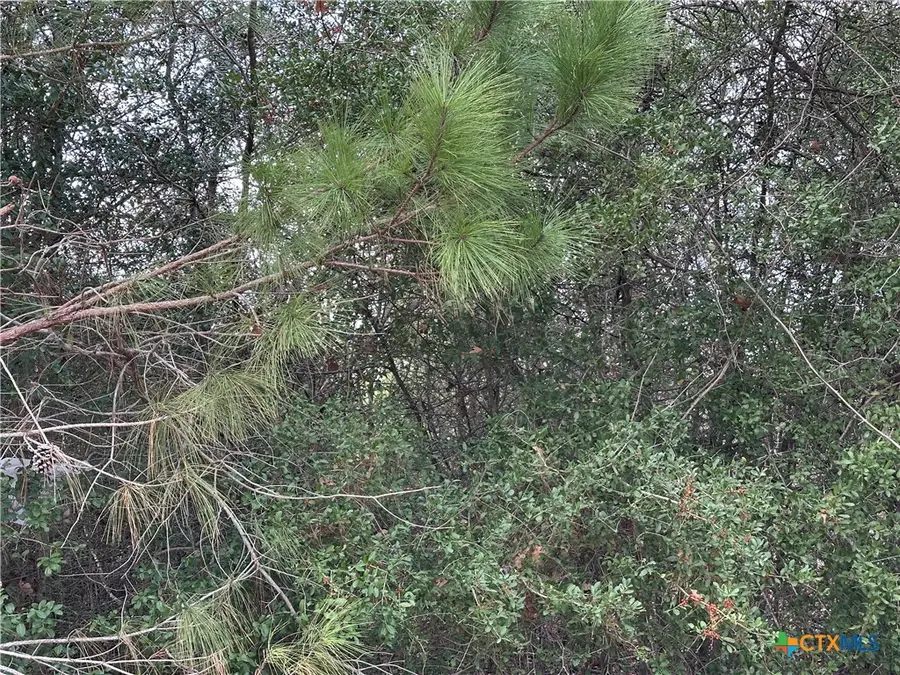 TBD Pine Hill Loop, Bastrop, TX 78602 - #2