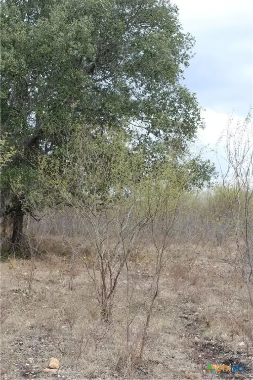 0 Fm 3353, Kingsbury, TX 78638 - Image #3