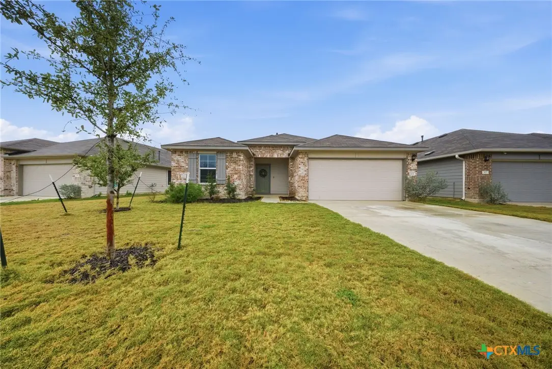 323 Elephants Ear Drive, New Braunfels, TX 78130 - Image #1