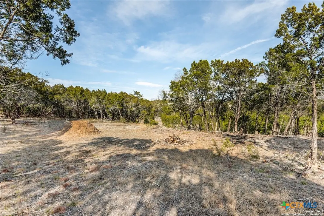 Lot 151R Stagecoach Trail, Spring Branch, TX 78070 - #1