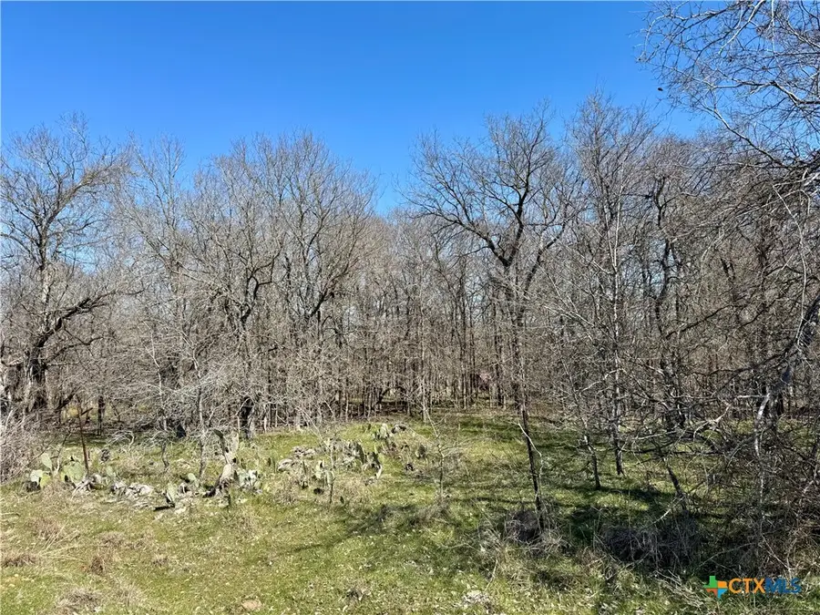TBD County Rd 418a, Bartlett, TX 76511 - #3