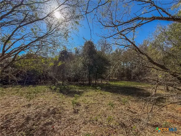 0 Fm 539, La Vernia, TX 78121