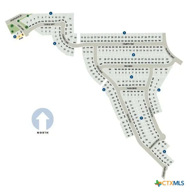 3032 Nash Drive, New Braunfels, TX 78132 - Image #3