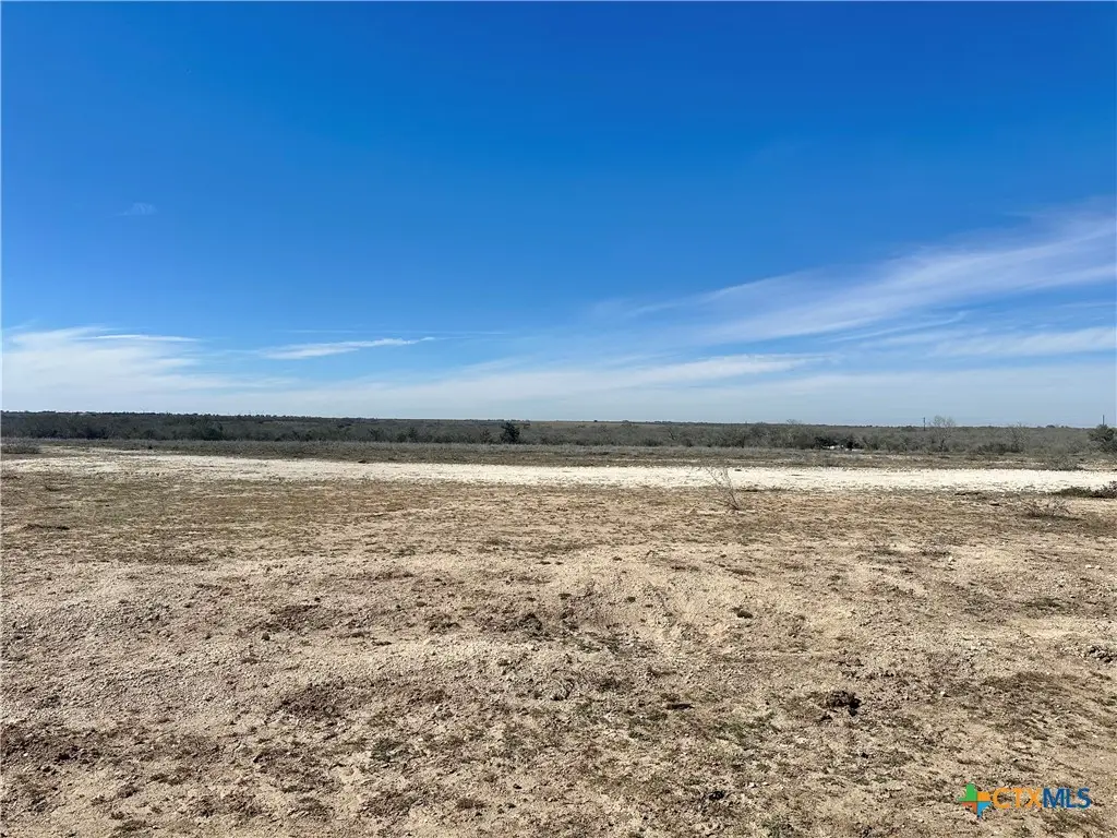 000 Fm 743, Goliad, TX 77963 - #1