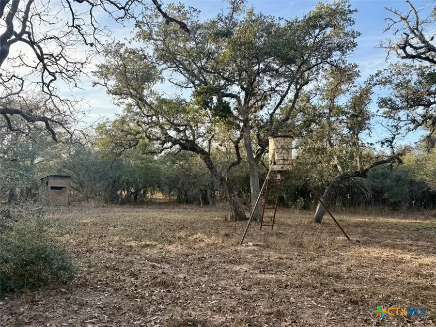 000 Private Road 1067, Hallettsville, TX 77964 - Image #2