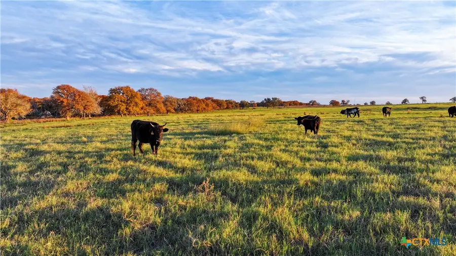 TBD Tx-123, Seguin, TX 78155 - #2