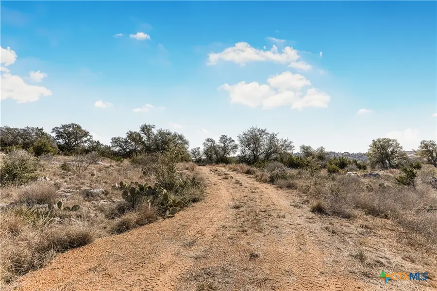 Lot 48 Inksview Lane, Kingsland, TX 78639 - Image #2
