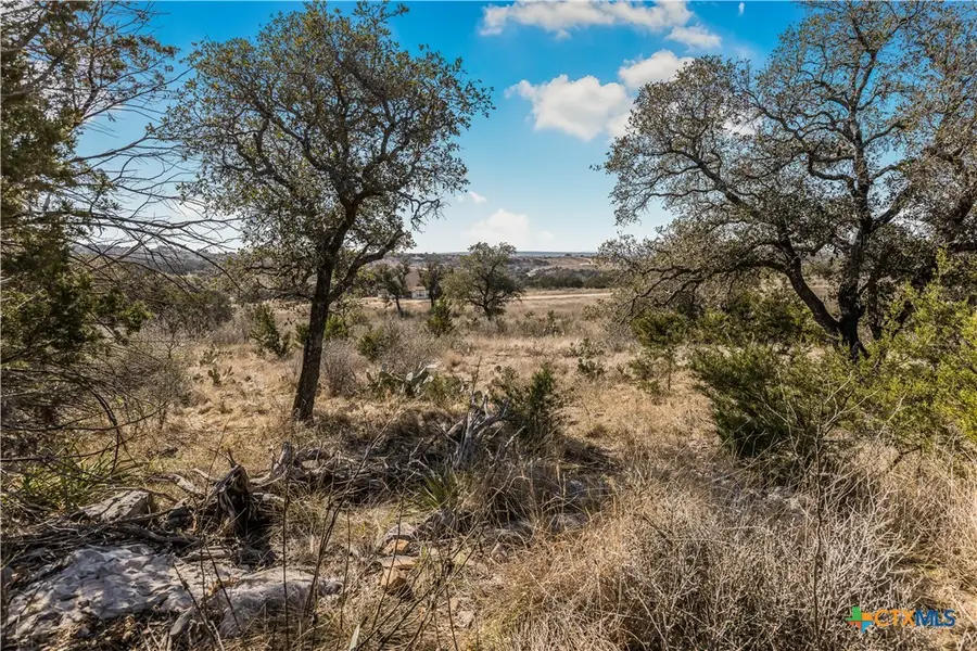 Lot 48 Inksview Lane, Kingsland, TX 78639 - Image #3