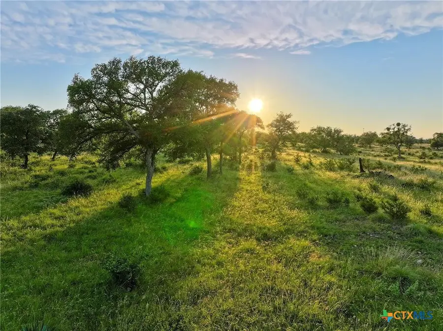 Lot 4 County Road 220, Briggs, TX 78608 - #3