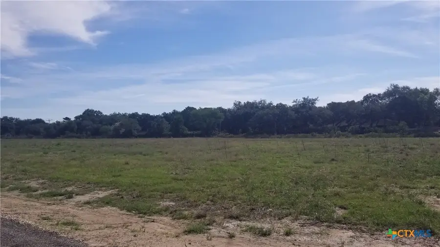 000 Enchanted Oaks, Inez, TX 77968 - #3