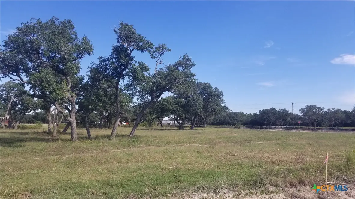 000 Enchanted Oaks, Inez, TX 77968 - #1