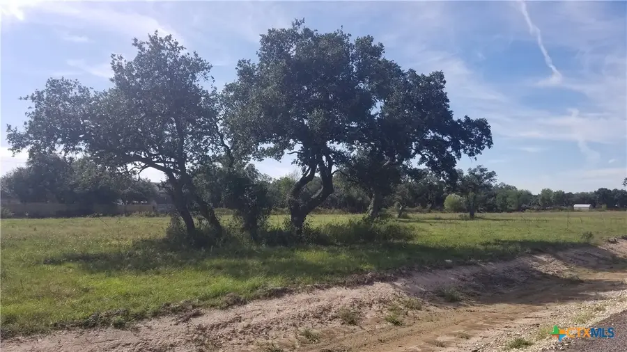 000 Enchanted Oaks, Inez, TX 77968 - #3