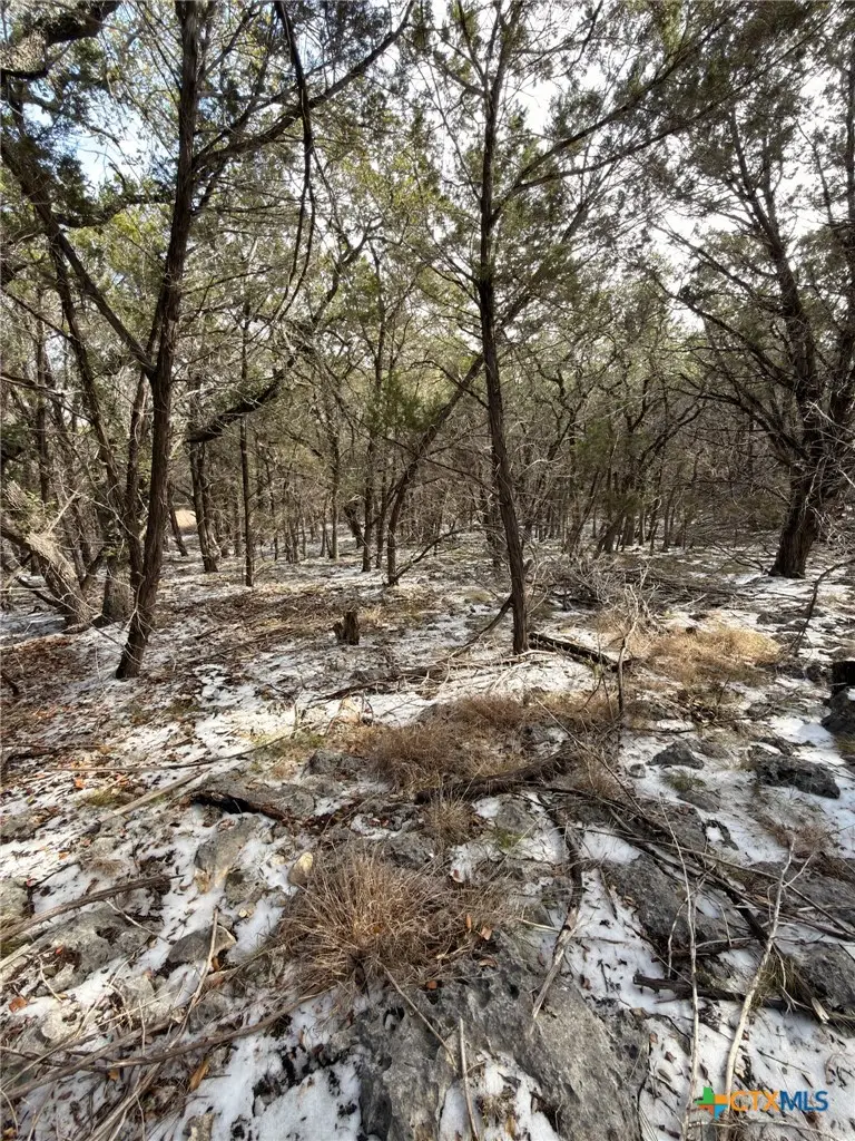 311 Serenity Pass, Spring Branch, TX 78070 - Image #2