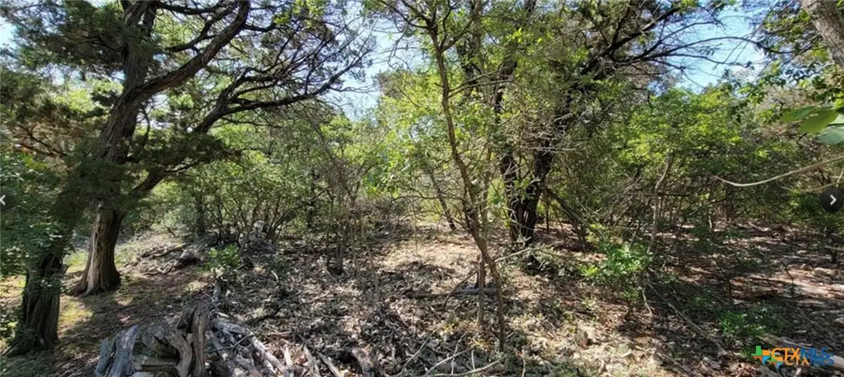 15921 Salado Drive, Temple, TX 76502 - Image #1