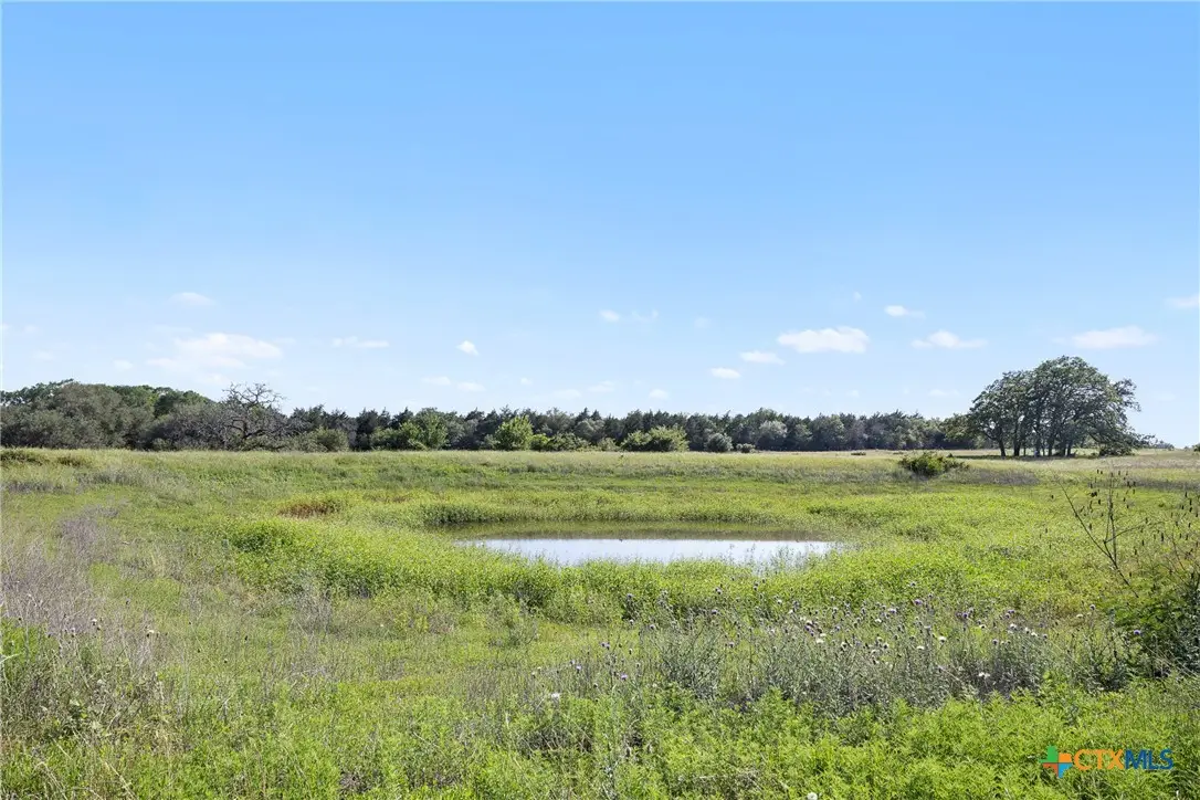 1310 N Nassau Road, Round Top, TX 78954 - #1