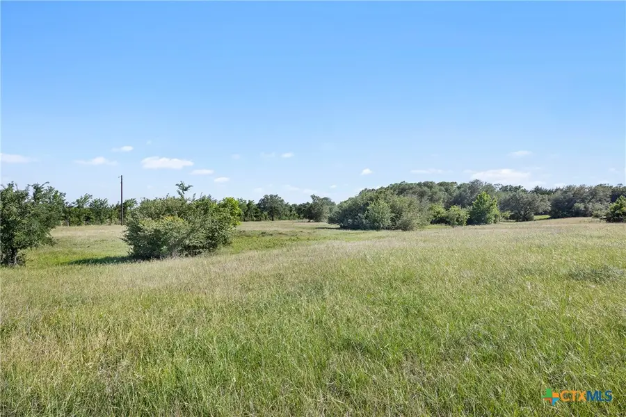1310 N Nassau Road, Round Top, TX 78954 - #3