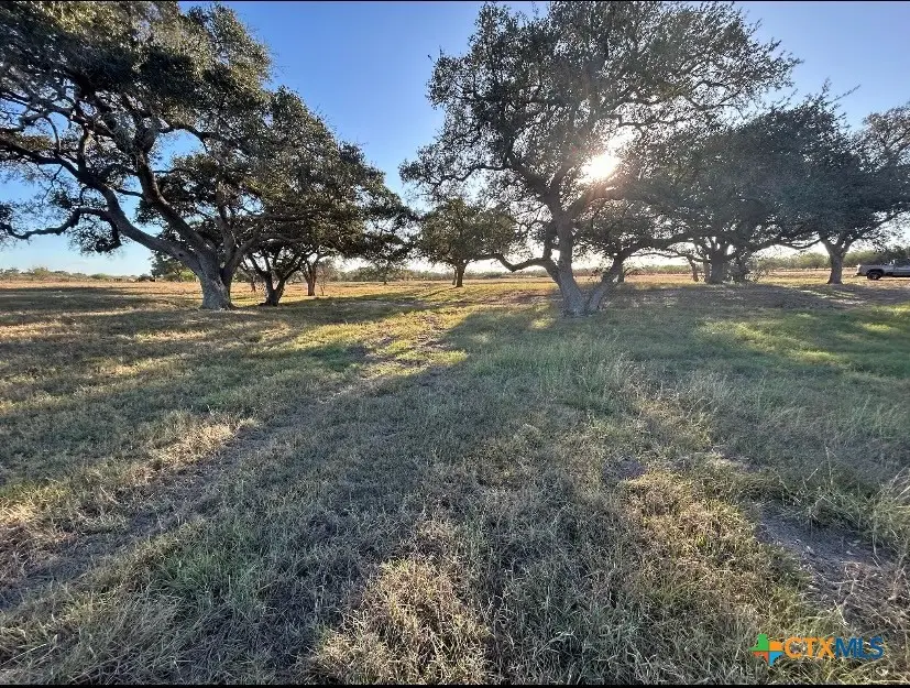 1709 Fm 318, Yoakum, TX 77995 - #1
