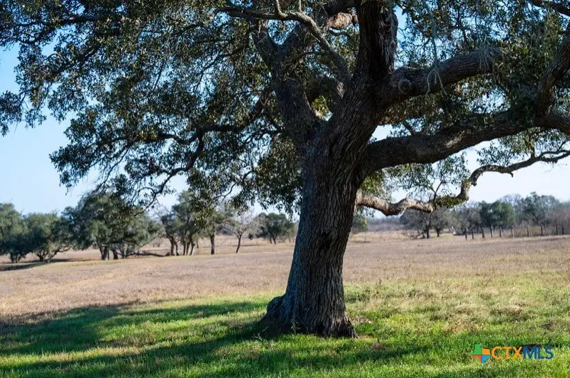 1709 Fm 318, Yoakum, TX 77995 - #2