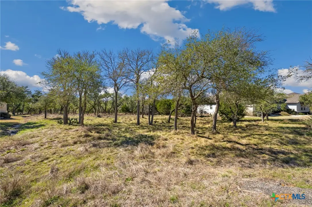 913 Cross Oak, New Braunfels, TX 78132 - #1