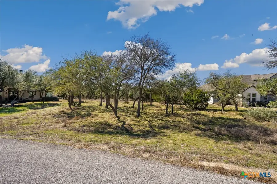 913 Cross Oak, New Braunfels, TX 78132 - #3