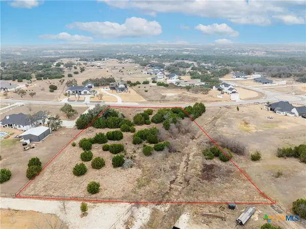 220 Lantana Bud Trail, Liberty Hill, TX 78642
