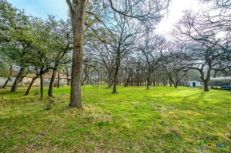 11 Broomtail Court, Morgans Point Resort, TX 76513 - #3